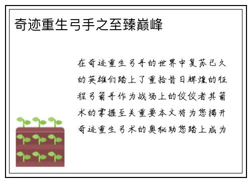 奇迹重生弓手之至臻巅峰